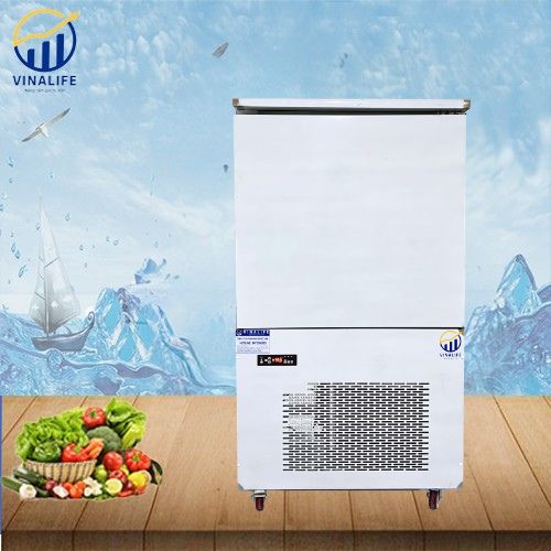 Tủ Cấp Đông Nhanh VINALIFE